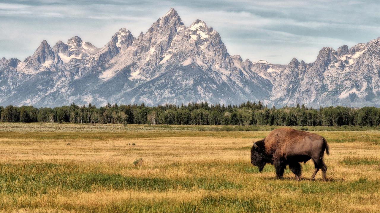 Grand Teton National Park in Wyoming