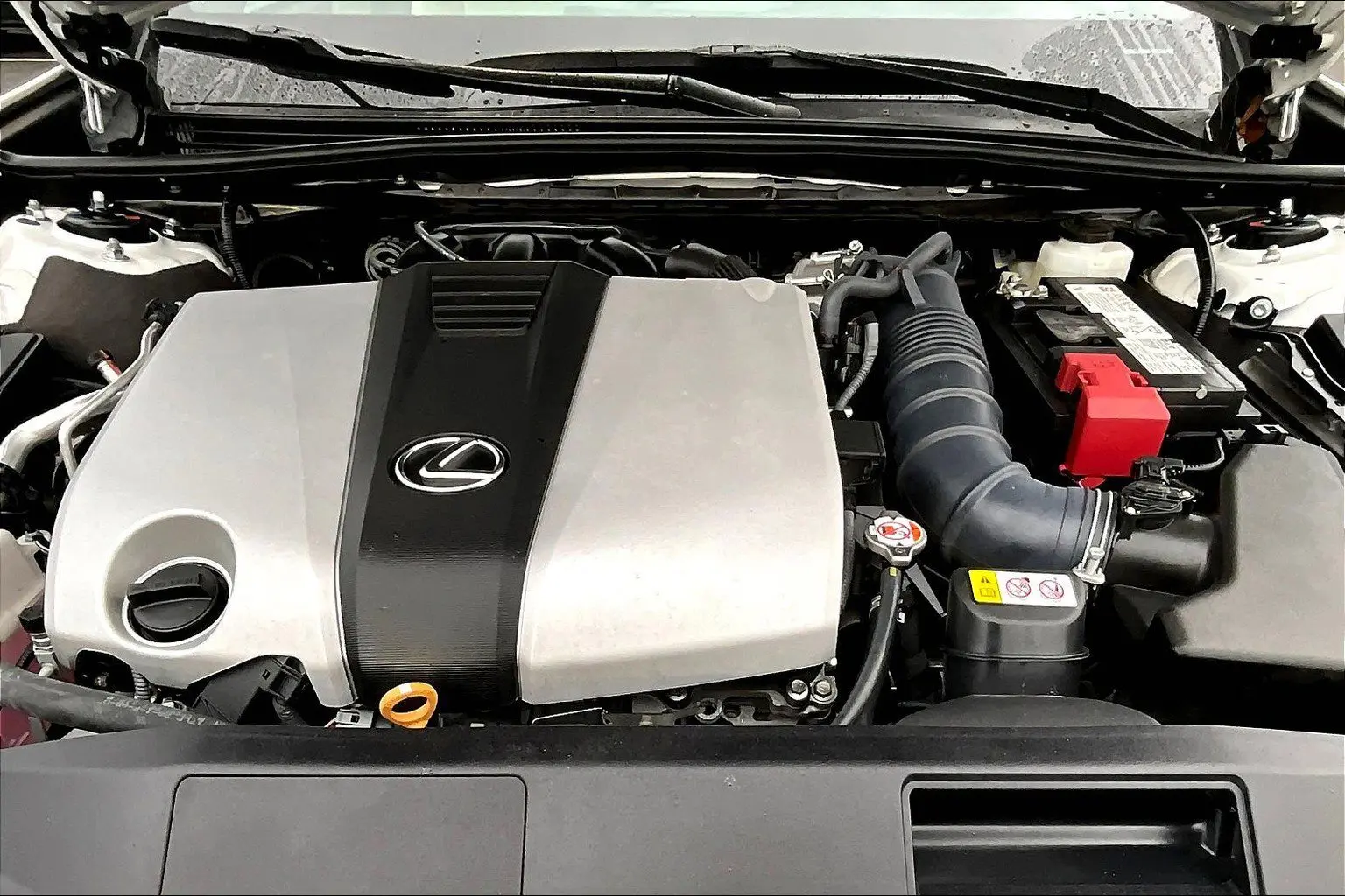 image-8