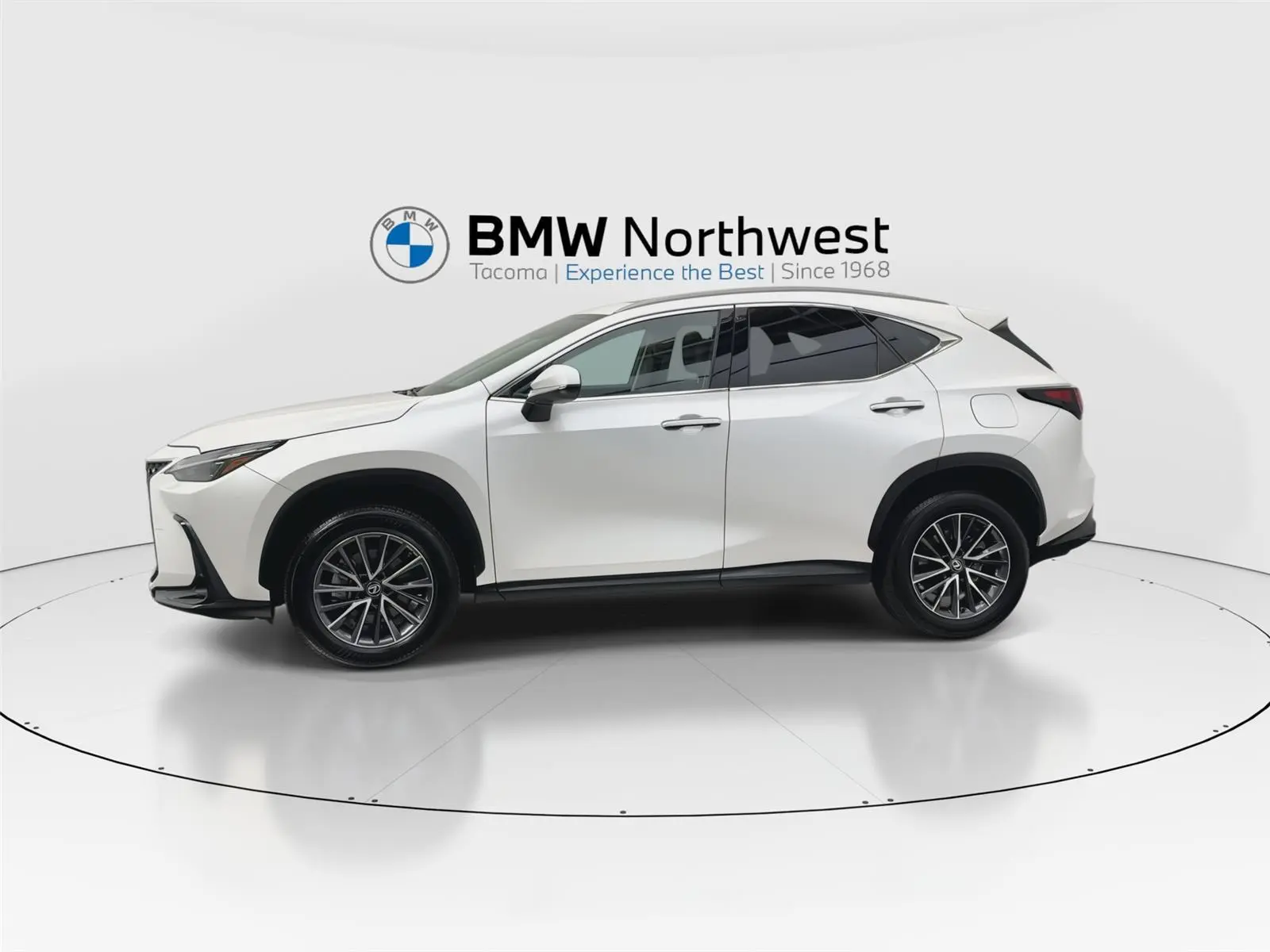 2022 Lexus NX 350 photo 9