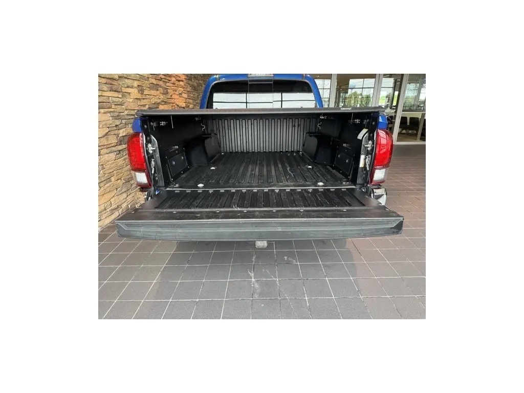 image-11