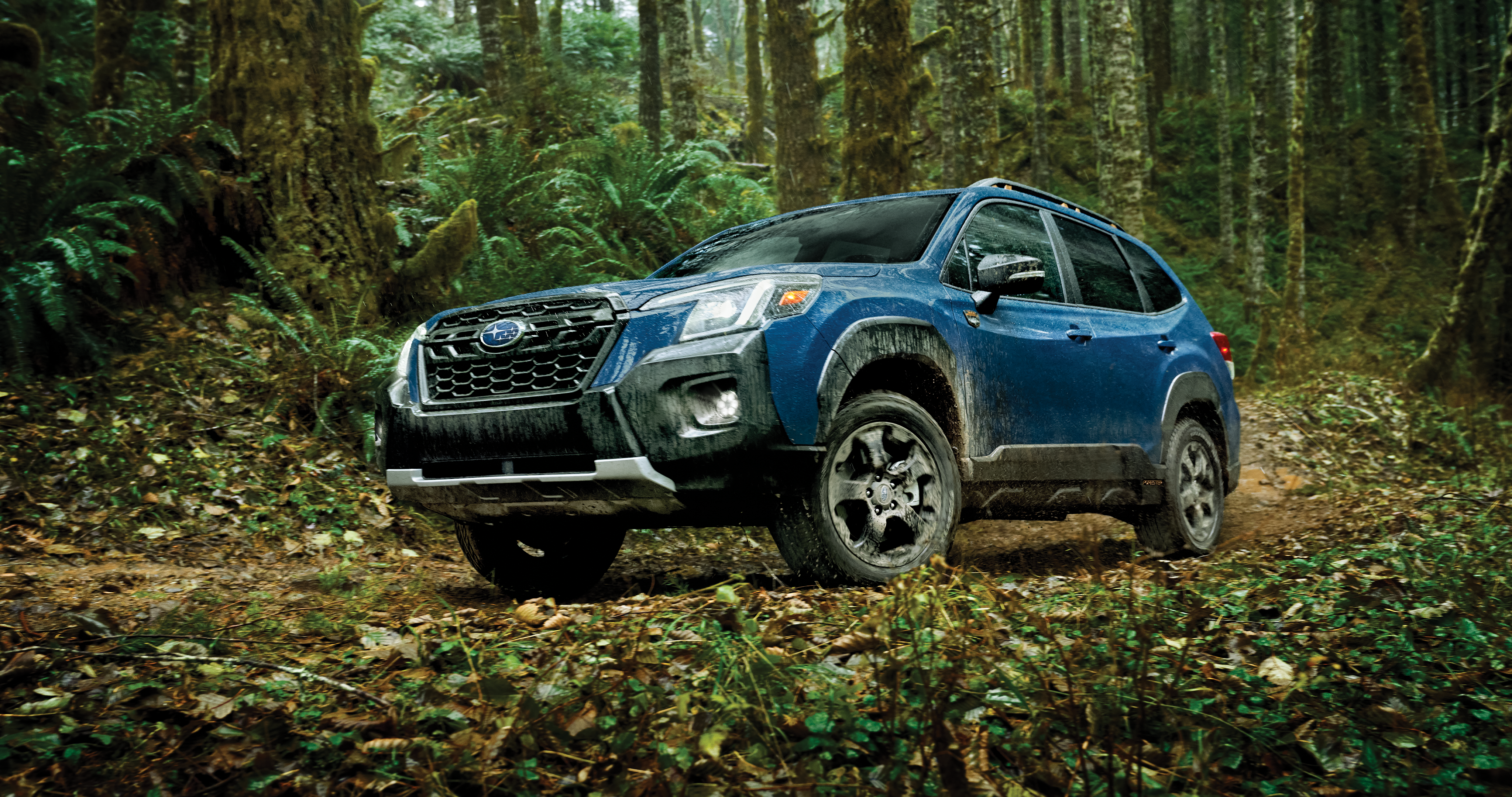 25_FORW_hero_1.png / A blue Subaru Forester Wilderness off-road SUV parked in the forest.