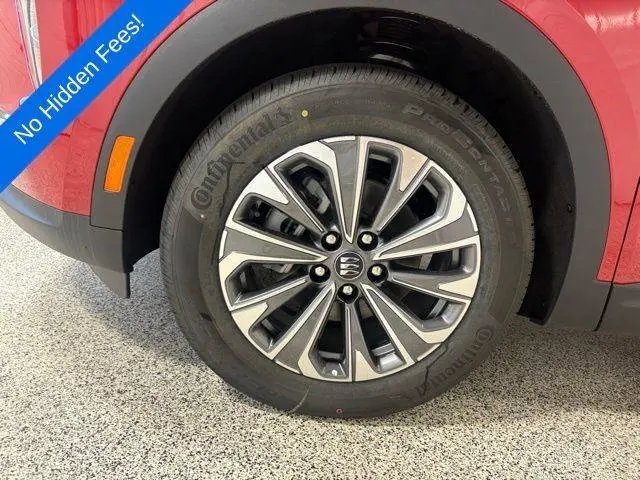 image-12