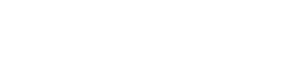 Dealer Logo Primary