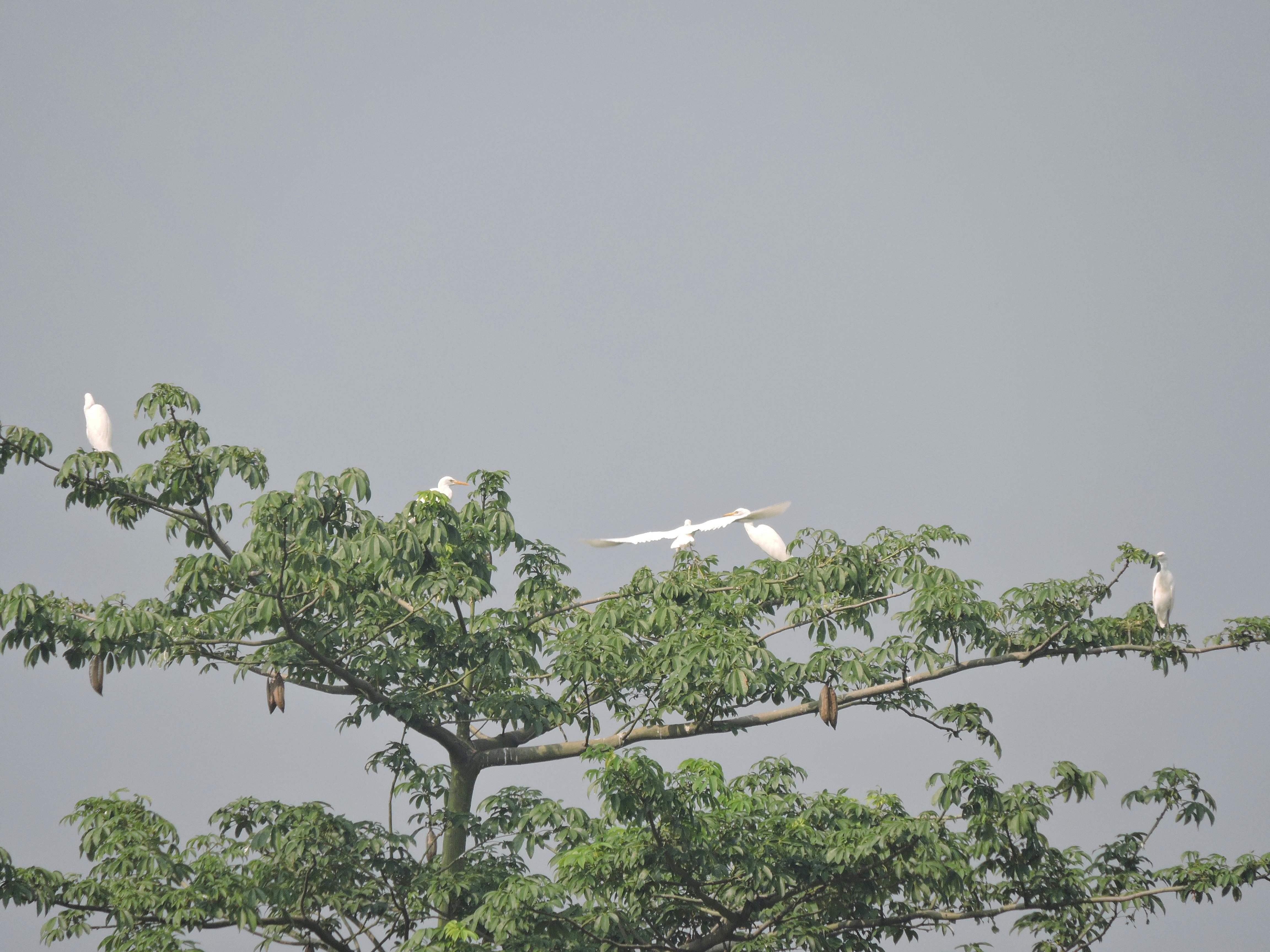 Customer finalizing a finance offer and incentives at a dealership