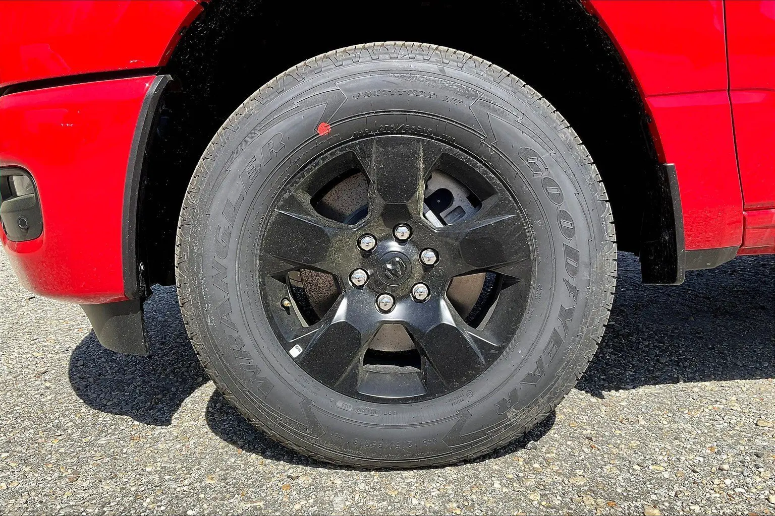 image-11