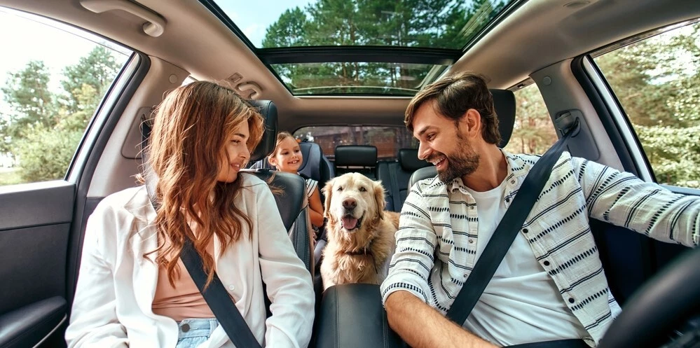 A family and their dog is inside a car, the dog is a golden retriever, the family consists of two parents and their child, everyone in the family is looking at the dog and the outside of the car which has a sunroof thats open is all trees and nature