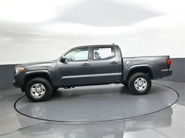 image-7