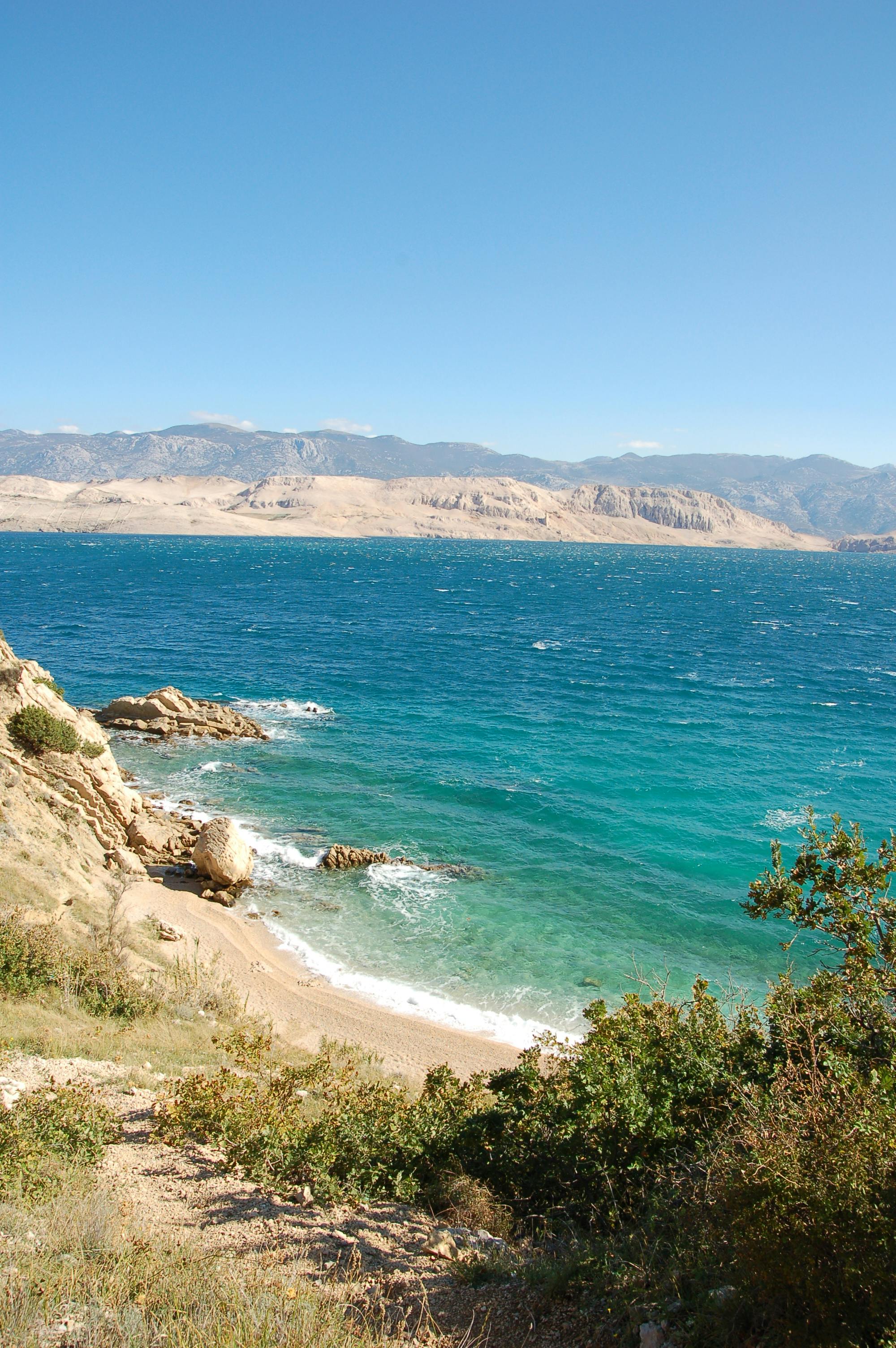 Technician servicing a vehicle