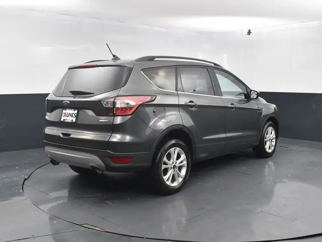 image-7