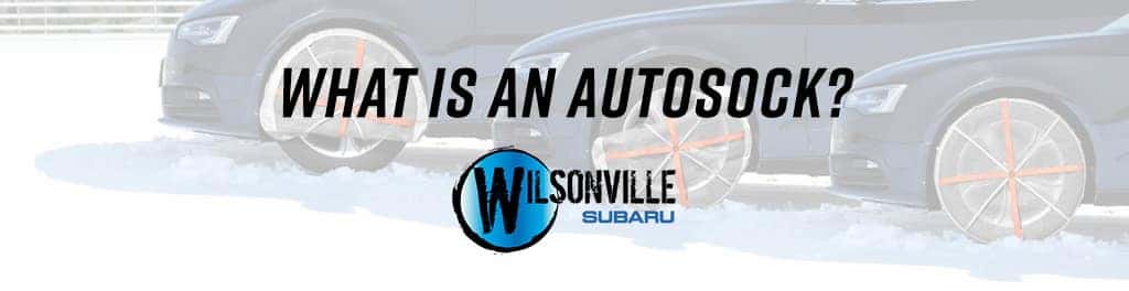 autosock banner