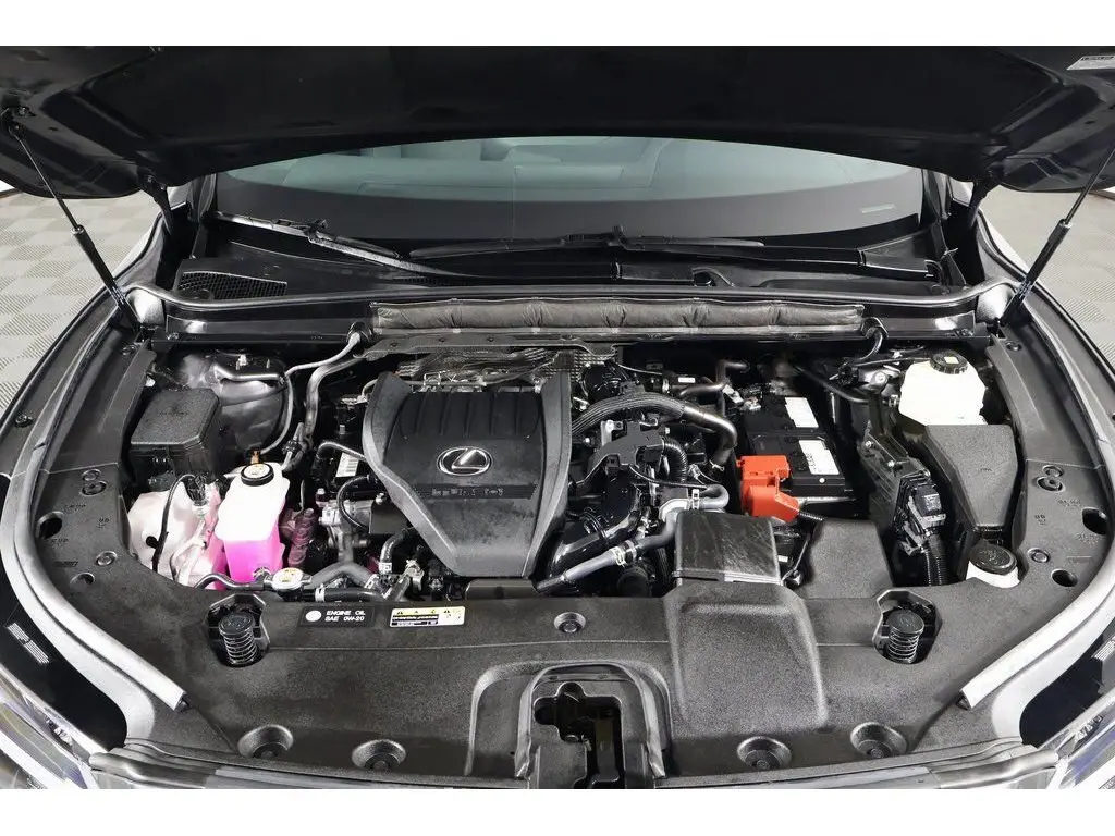 image-14