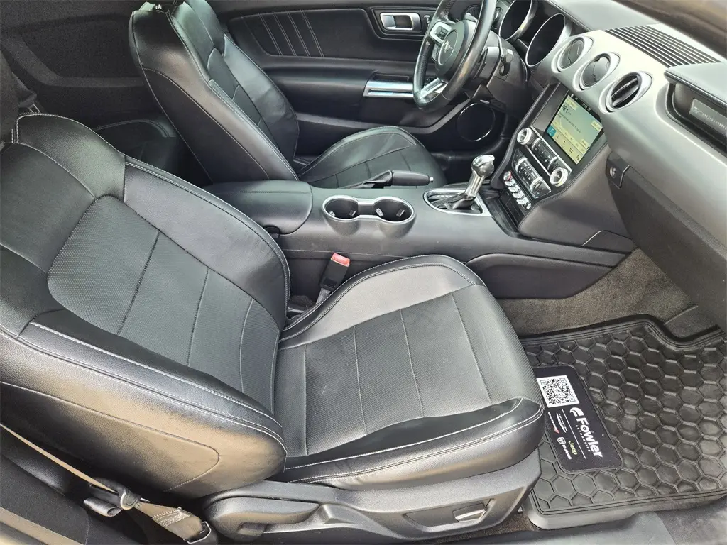 2019 Ford Mustang EcoBoost Premium photo 12