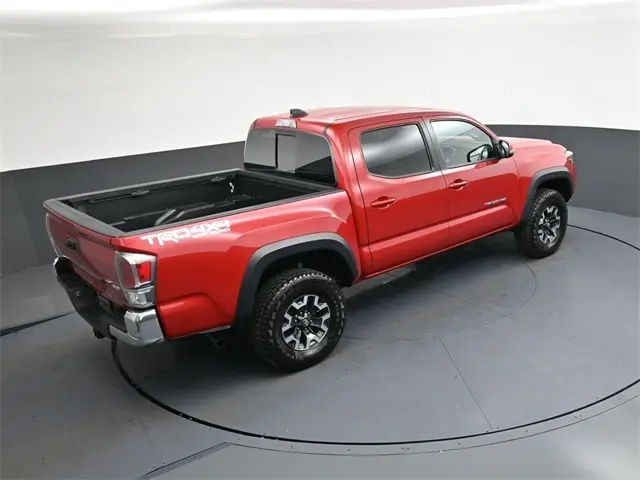 image-19