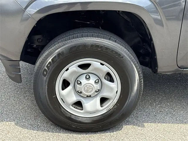 image-19