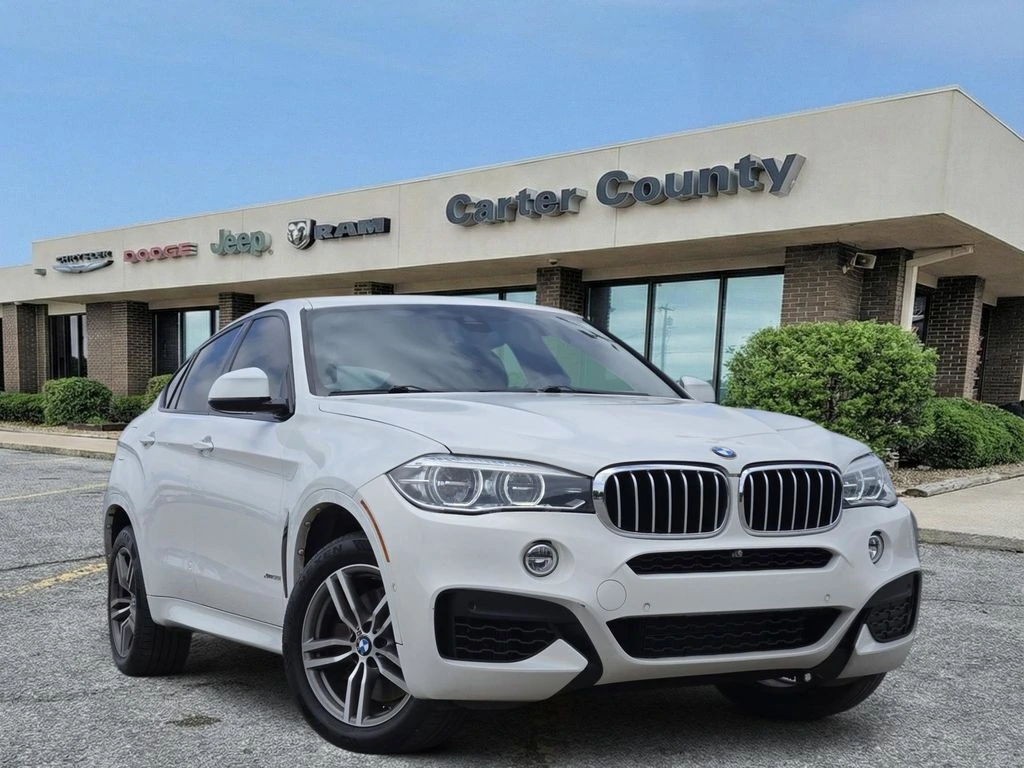 2019 BMW X6 xDrive50i's photo