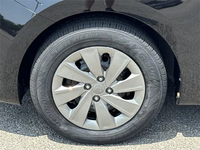 image-19