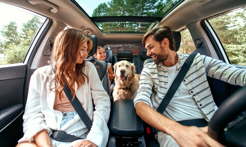 family riding in car with dog