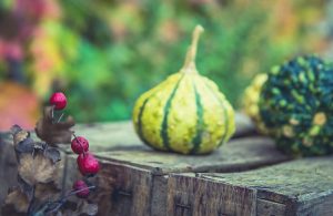 colorful gourds on a table