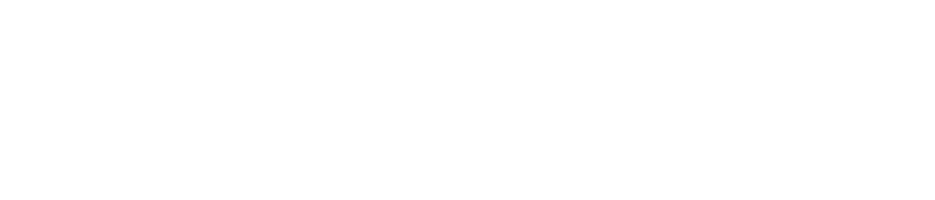 Dealer Logo Primary