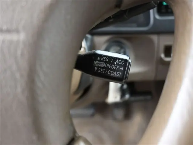 image-19