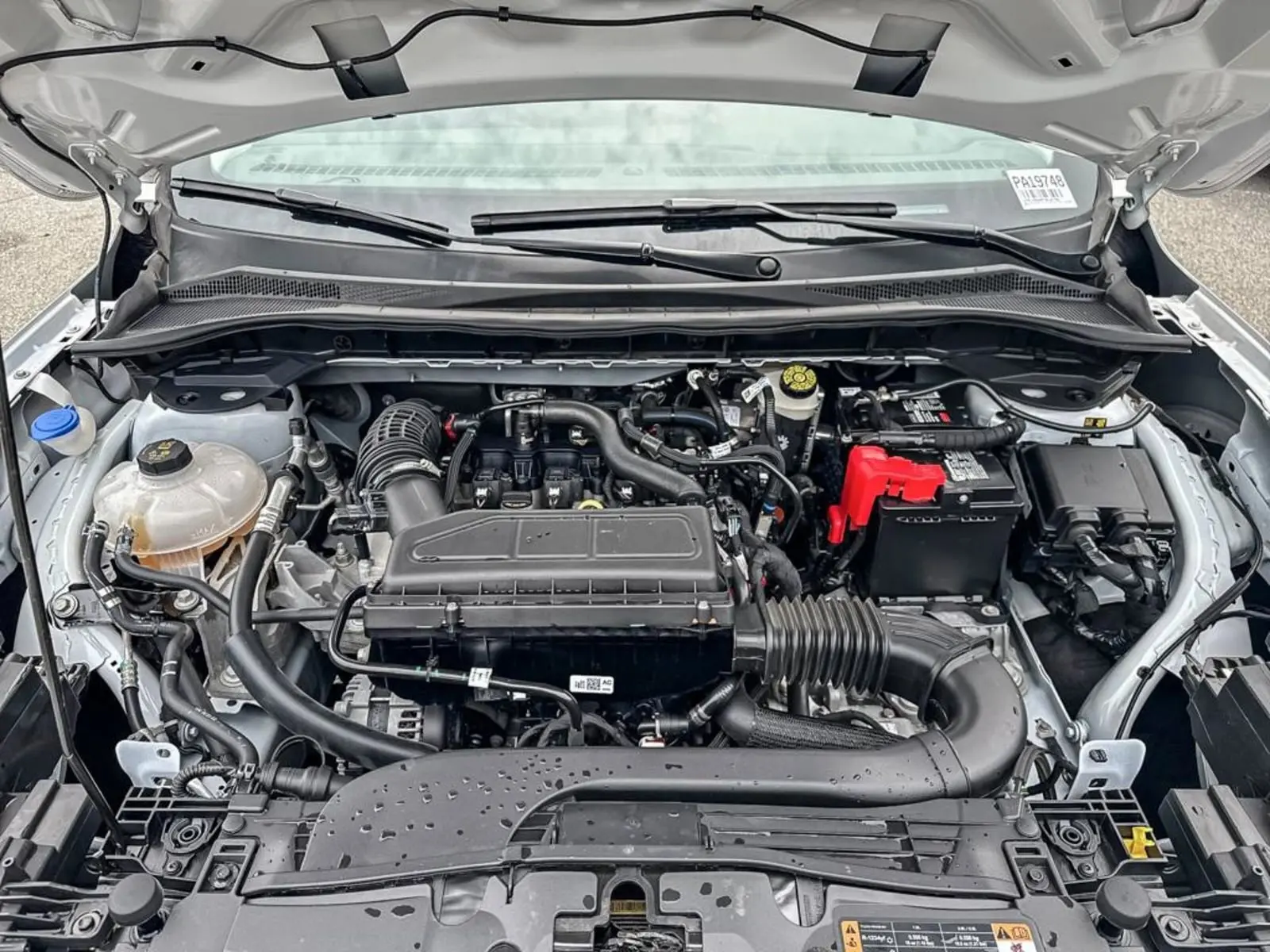 image-9
