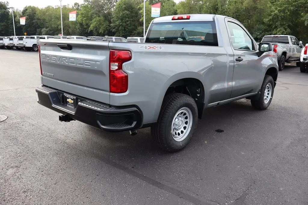 image-19
