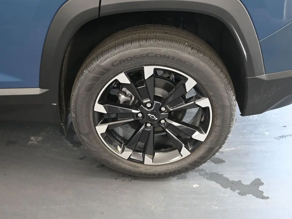 image-11