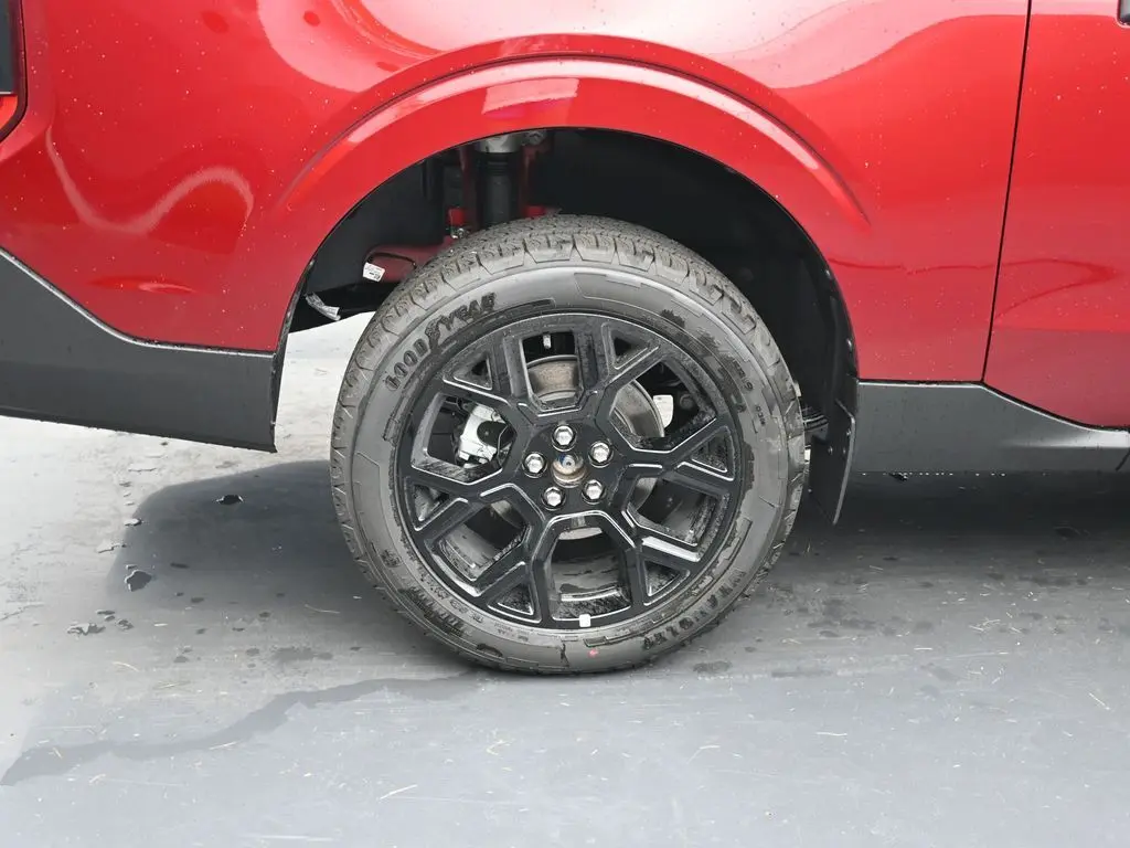image-11