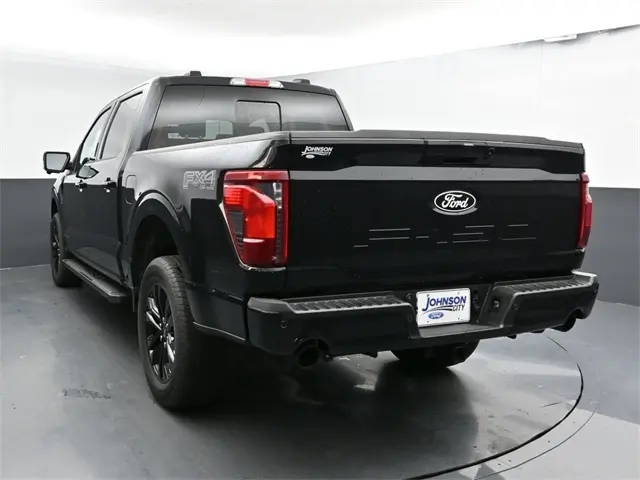 image-10
