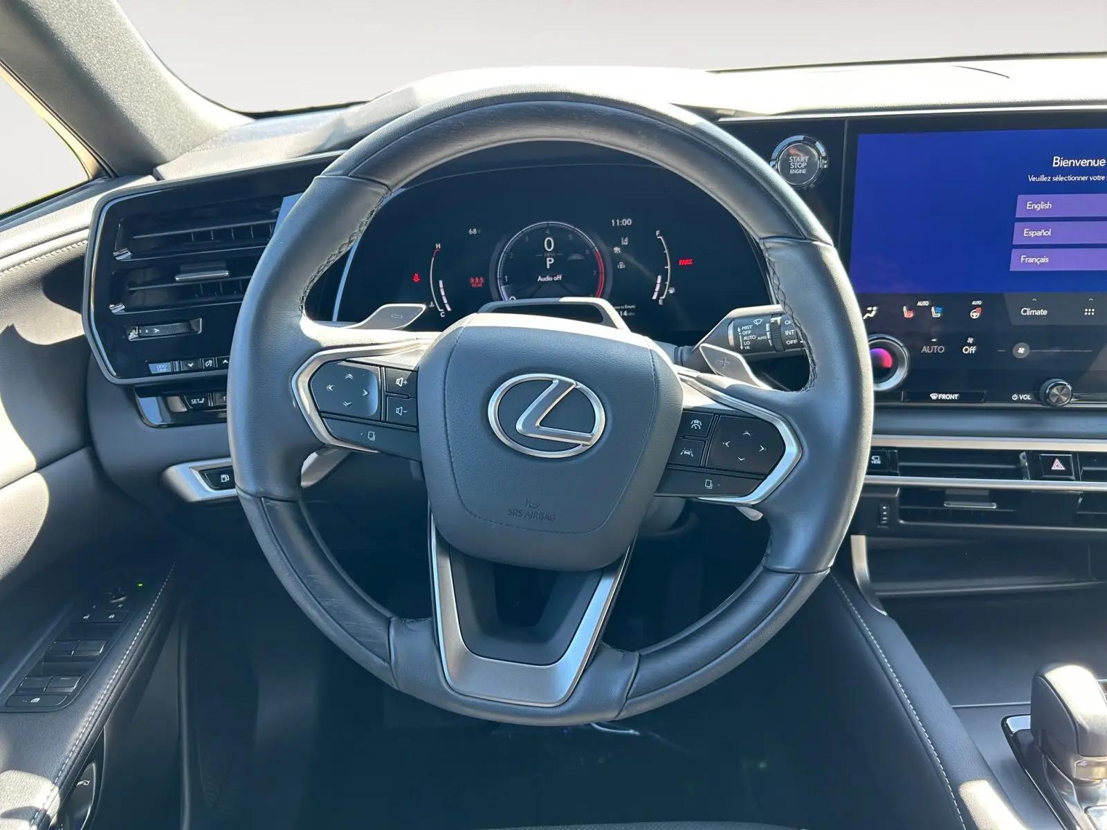 2024 Lexus RX 350 Premium AWD photo 12