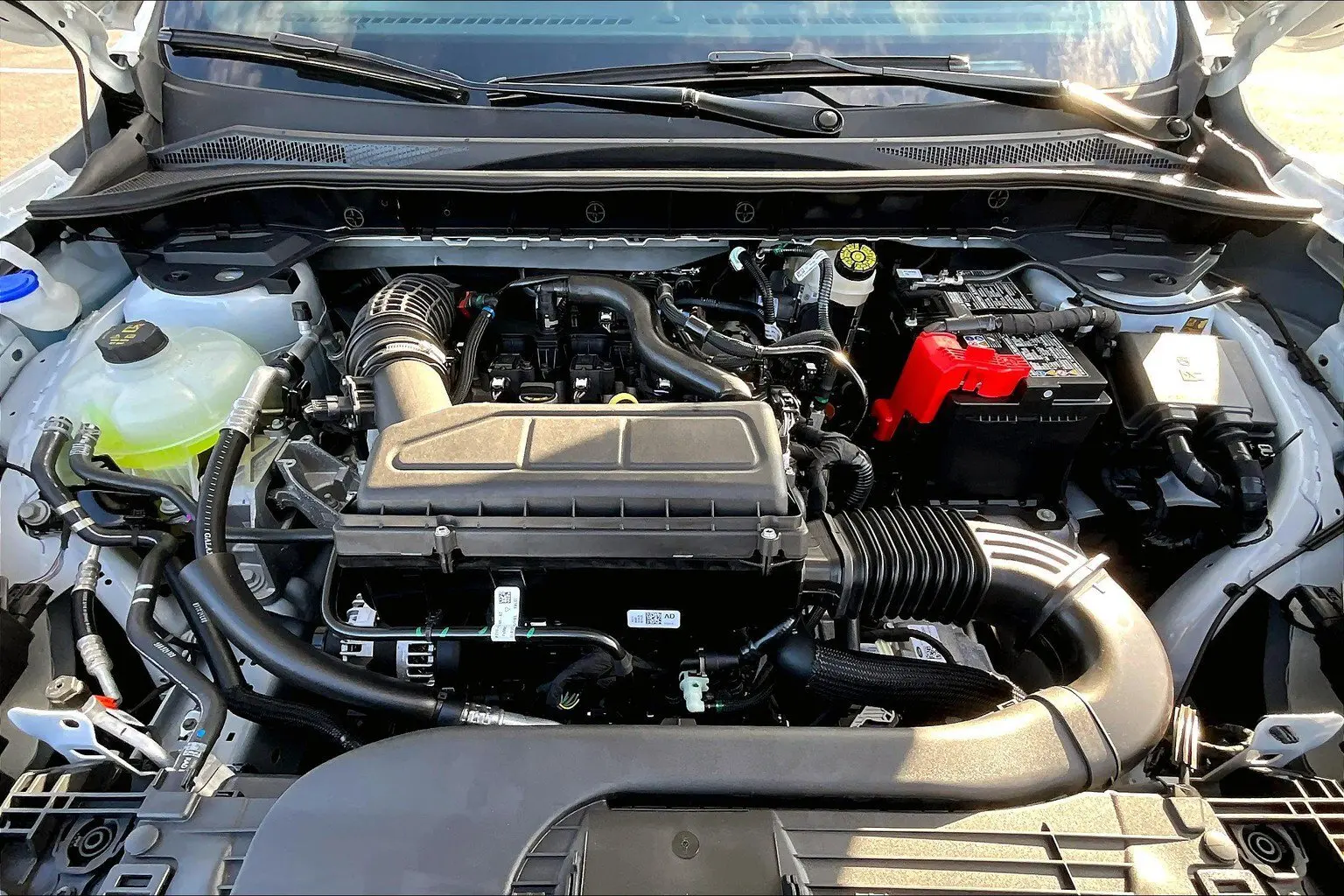 image-10