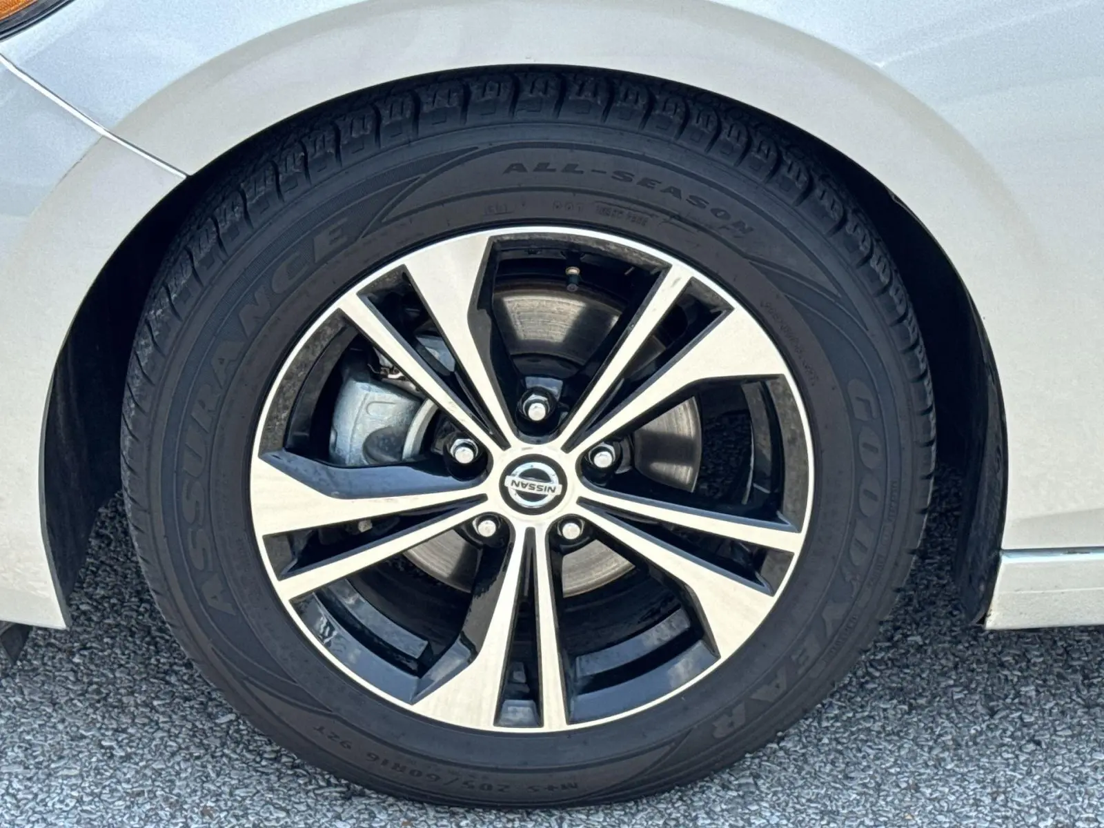 image-19