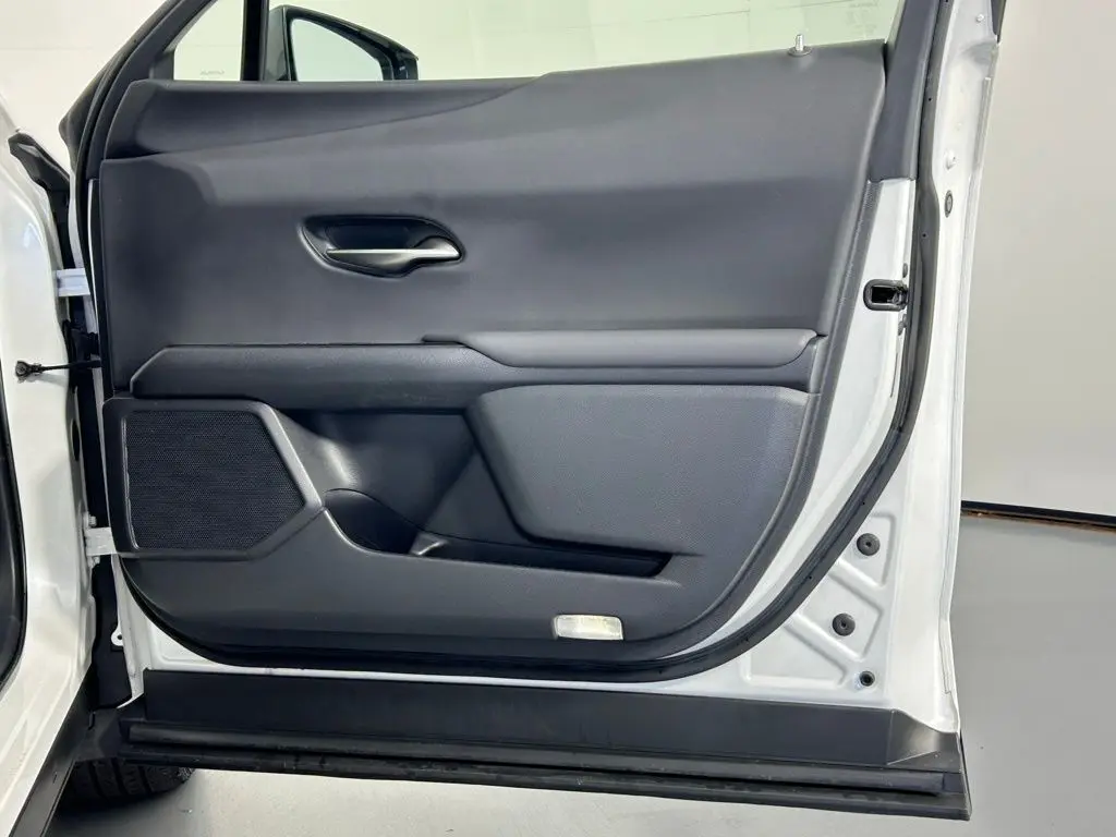 2021 Lexus UX 250h photo 9