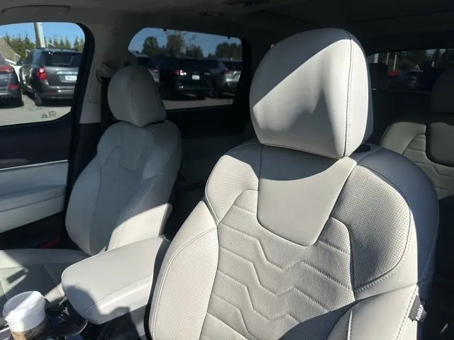 2020 Kia Telluride SX photo 11