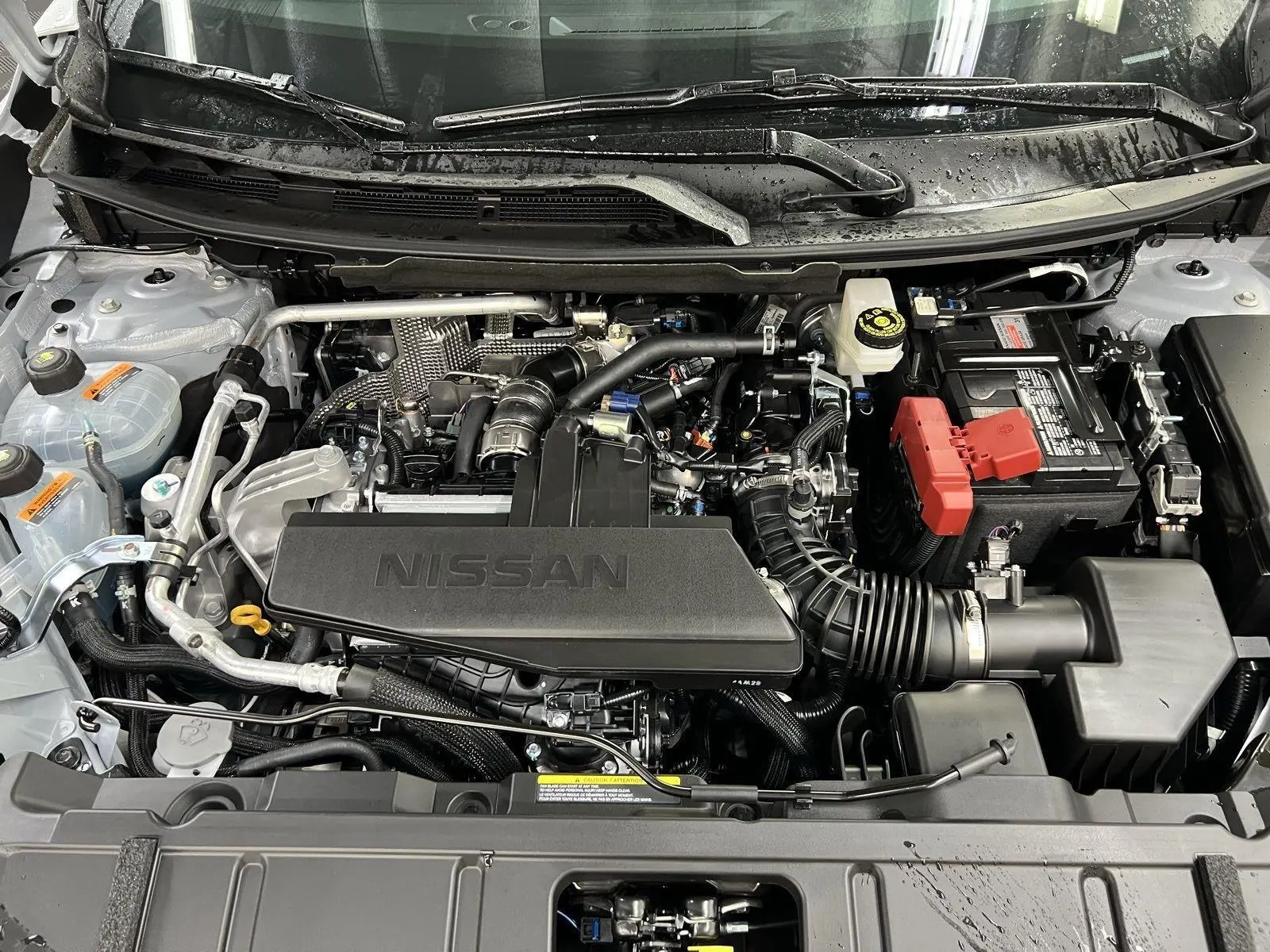 image-7