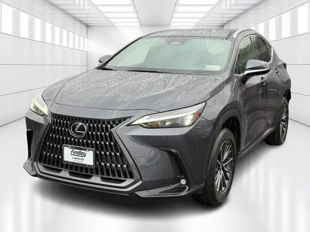 2022 Lexus NX 250's photo