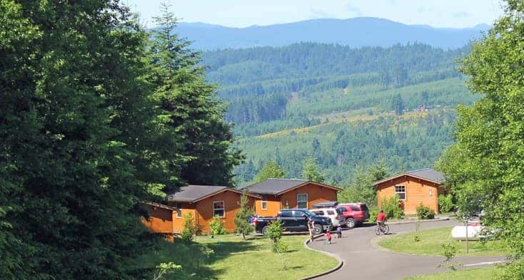 Cabins at a forested campground