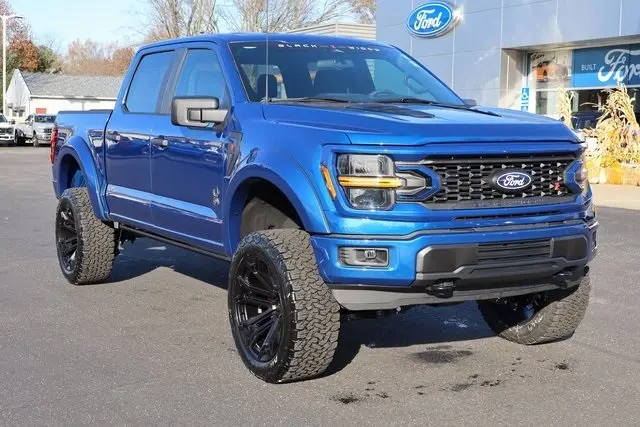 2025 Ford F-150 STX photo 2