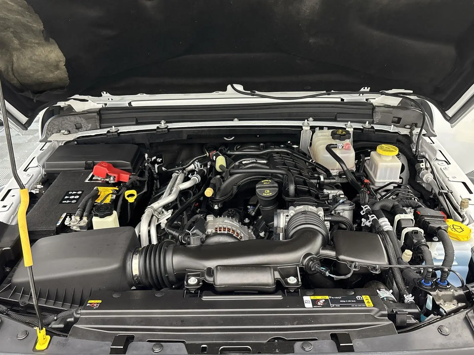 image-7