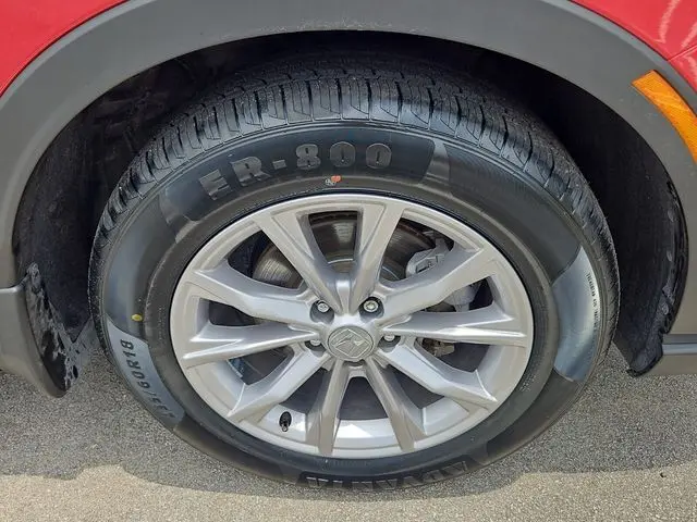image-9