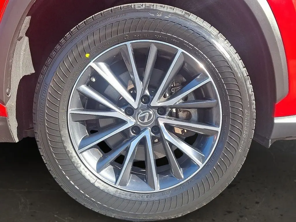 image-7
