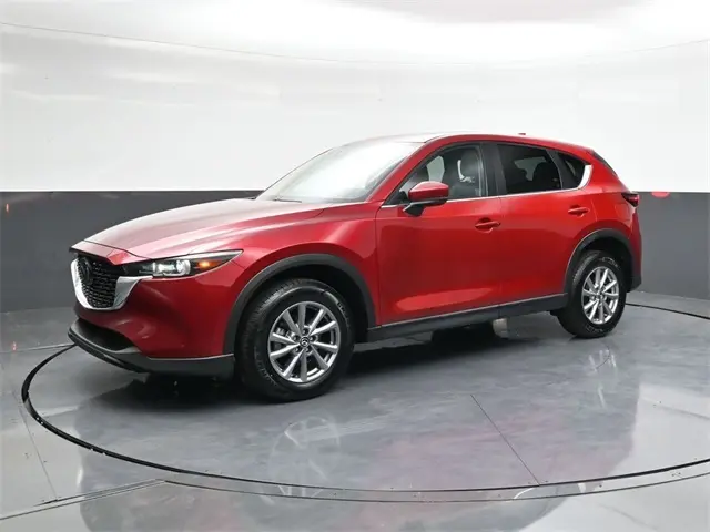 image-7