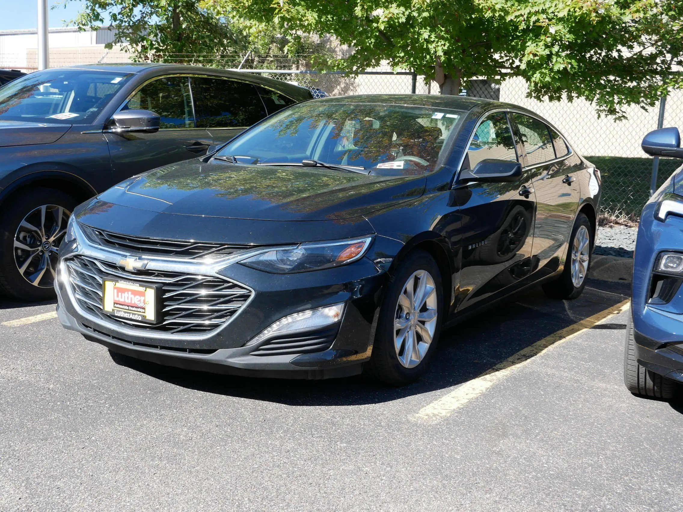 image-2