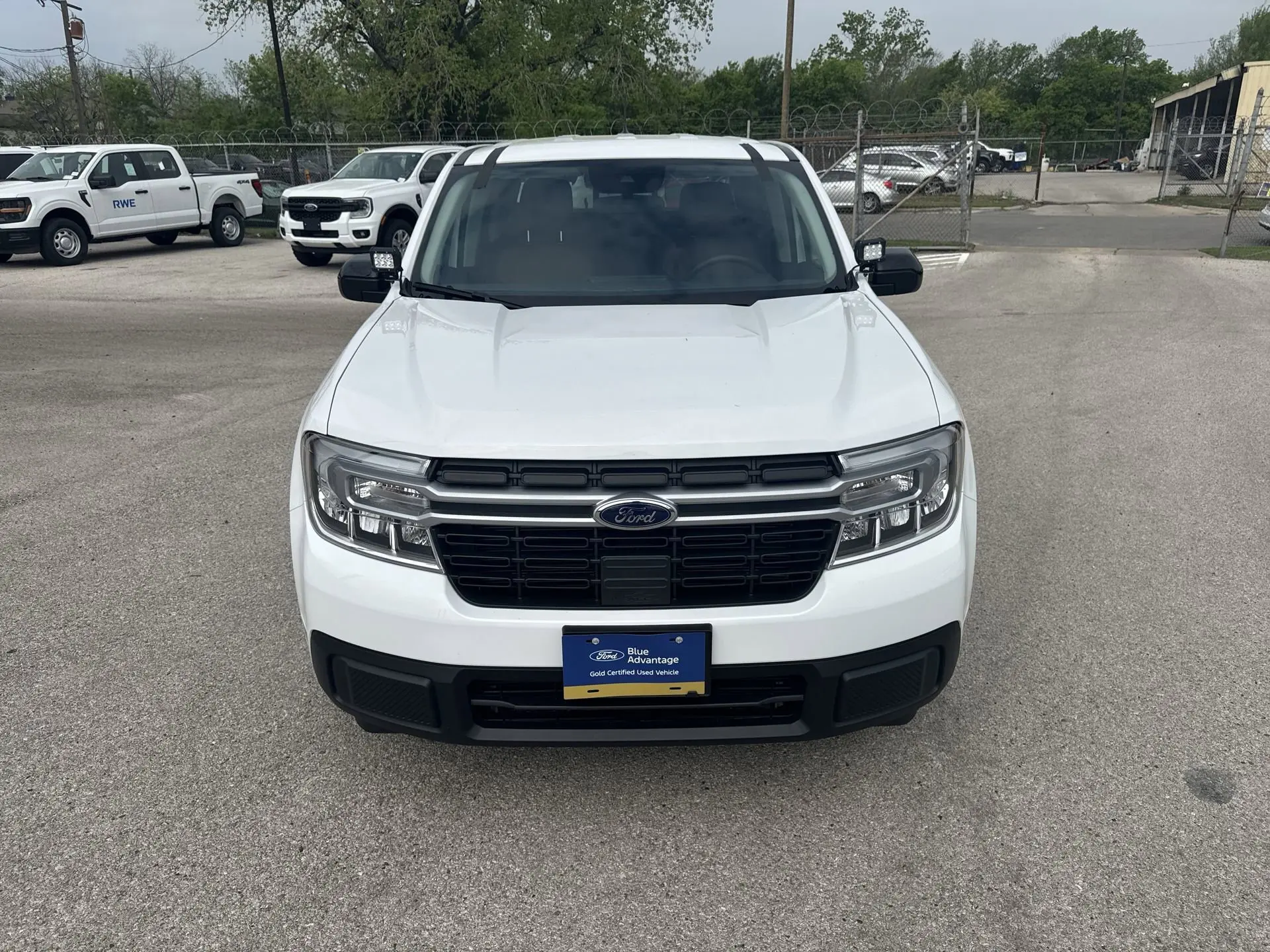 image-19
