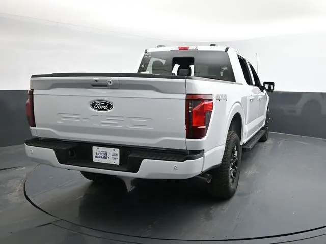 image-7