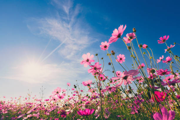 Blog Cover Image