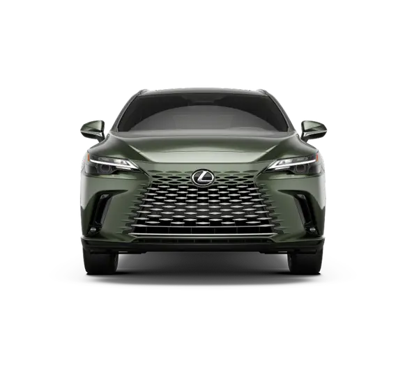 2025 Lexus RX 350h Premium AWD photo 5