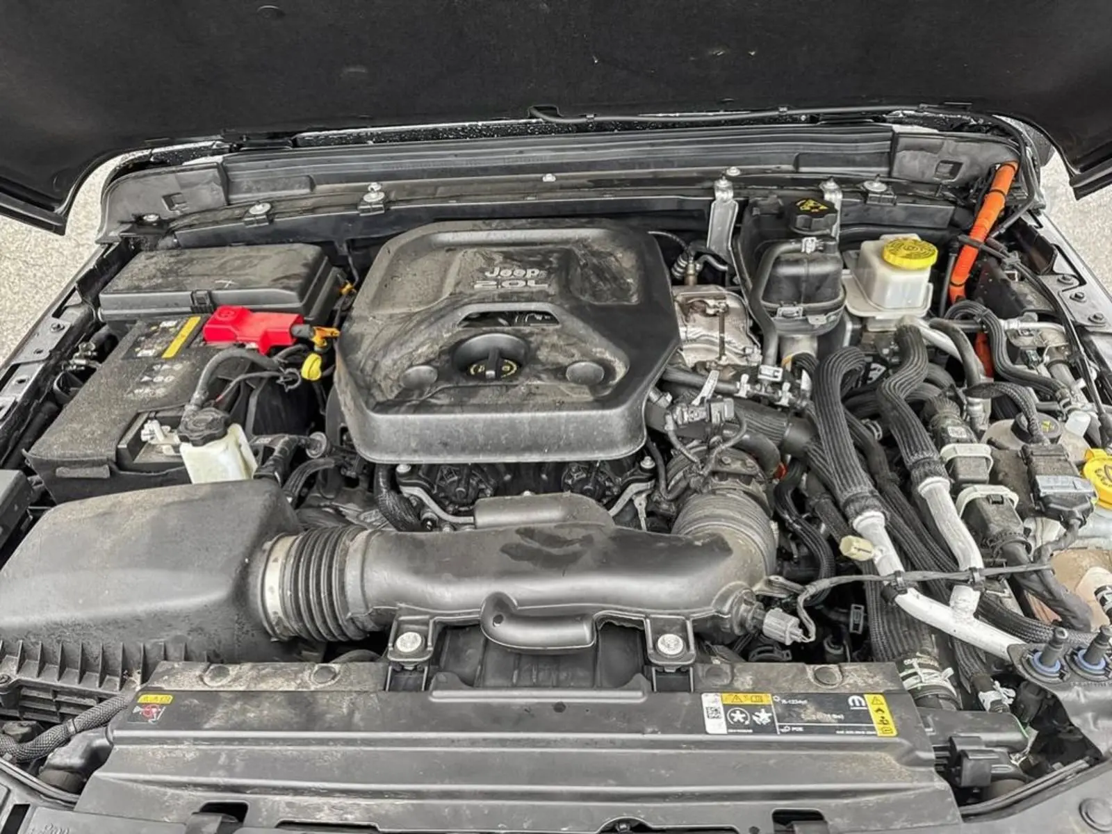 image-9