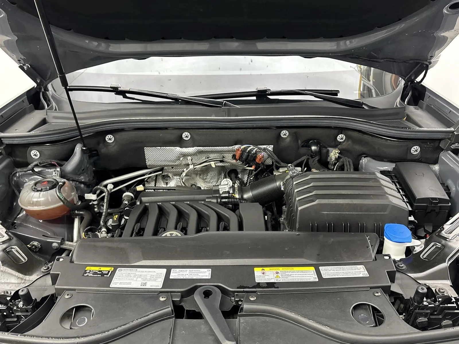 image-19