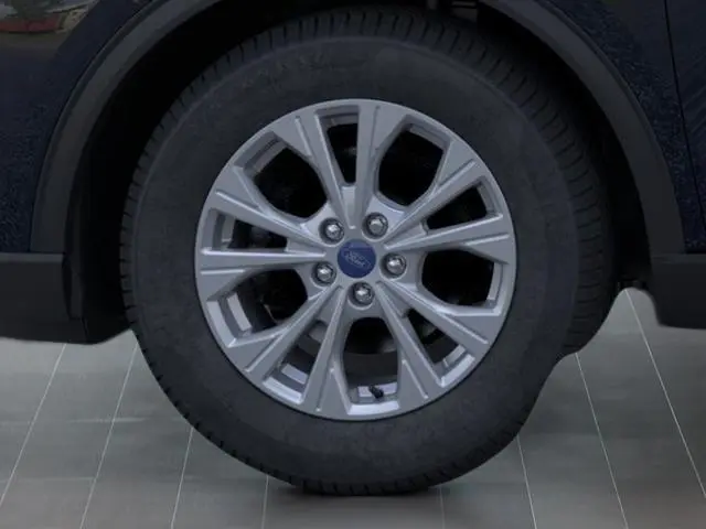 image-19